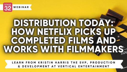 Distribution Today: How Netflix Picks Up Completed Films and Works with Filmmakers