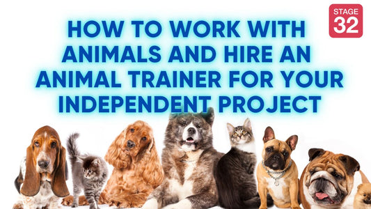 How to Work with Animals and Hire an Animal Trainer for Your Independent Project